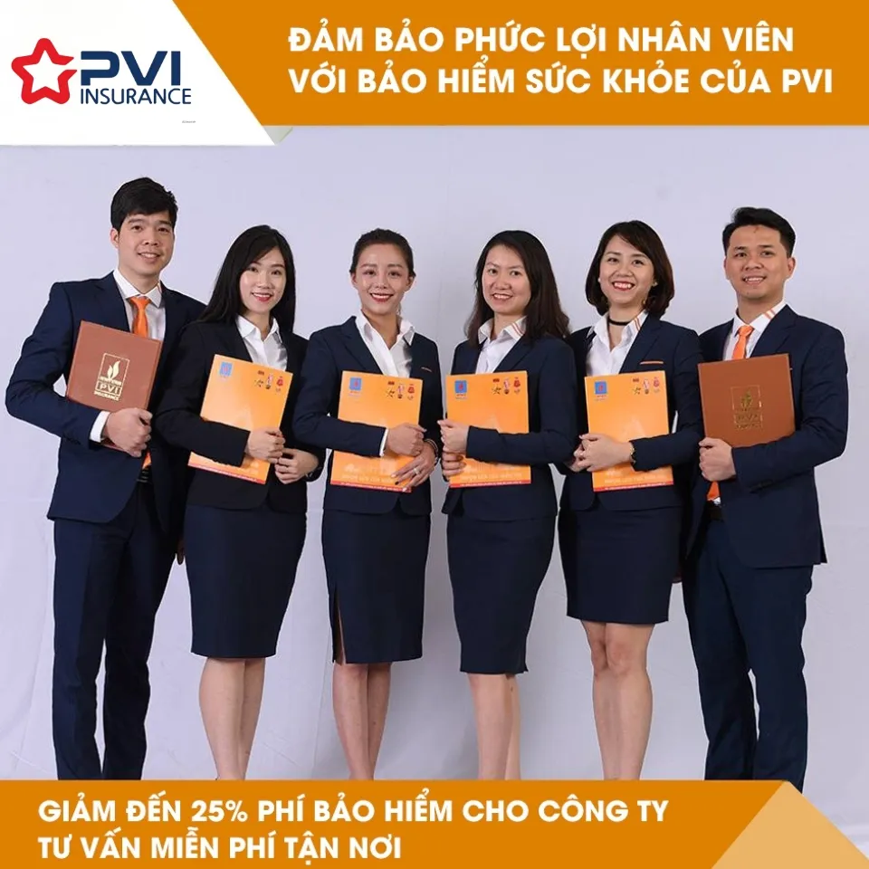 PVI